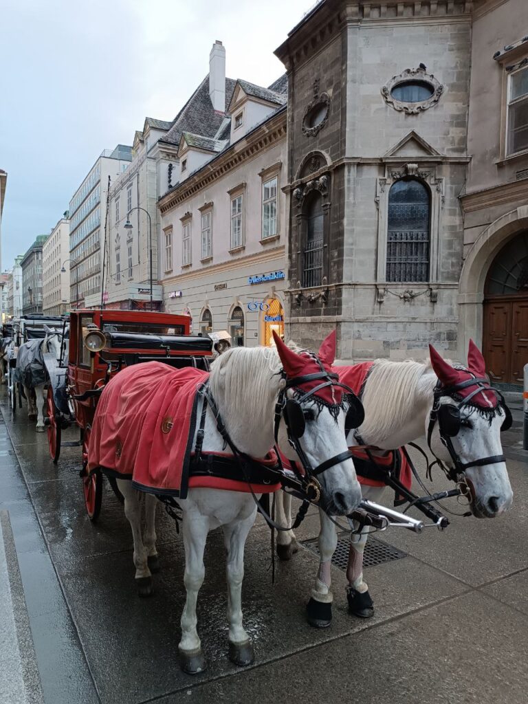 Mercatini di Natale a Vienna
