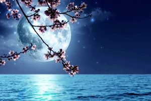luna influenze
