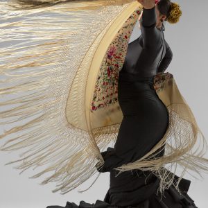passionate-elgant-flamenco-dancer