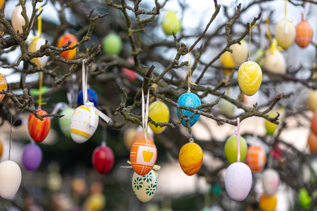 albero pasqua