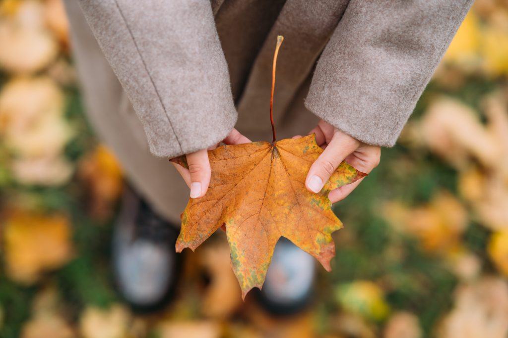 L'armonia delle pause
